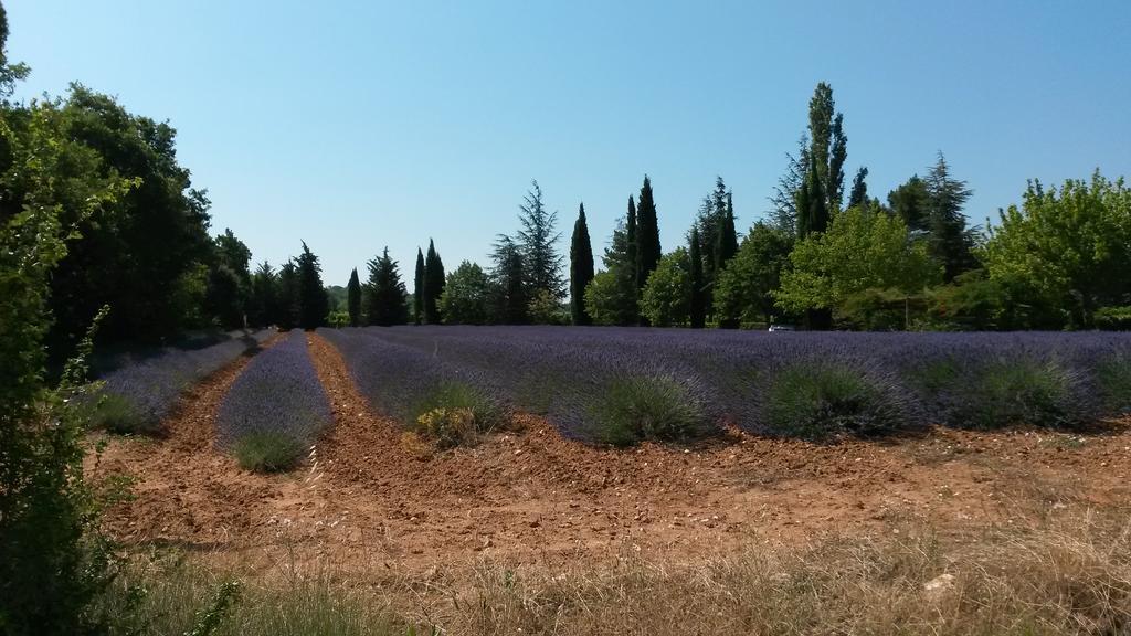 Residence Les Rossignols Roussillon en Isere Dış mekan fotoğraf