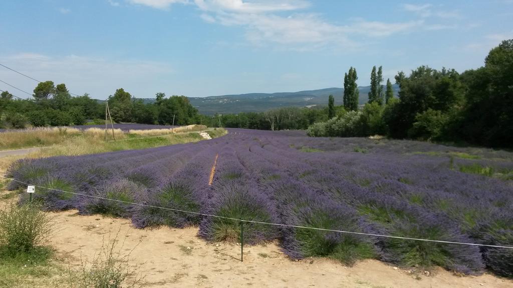 Residence Les Rossignols Roussillon en Isere Dış mekan fotoğraf
